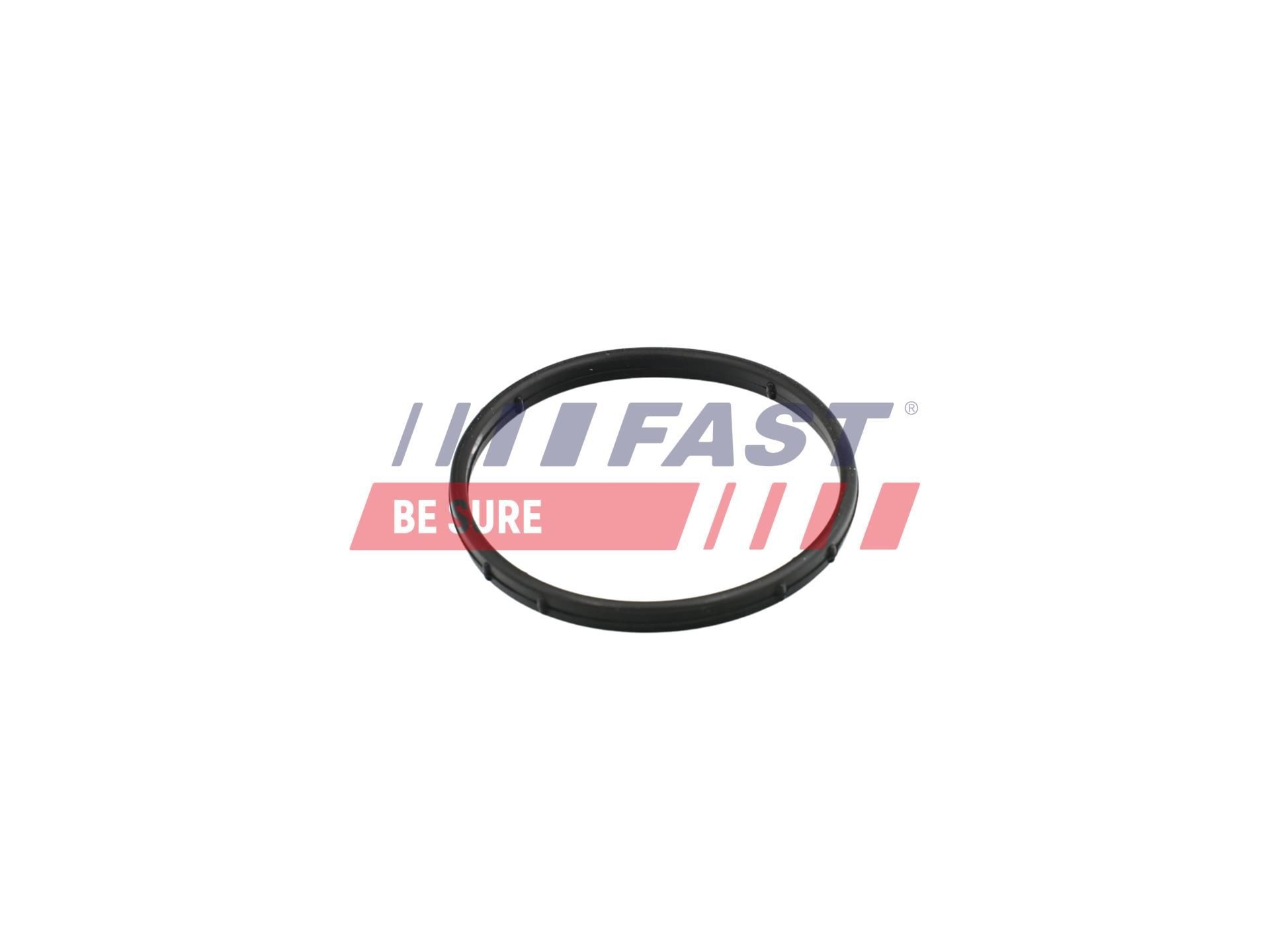 FAST Guarnizione valvola EGR (ricircolo gas scarico) FT50602 FT50602 FAST Guarnizione valvola egr MERCEDES-BENZ prezzo
