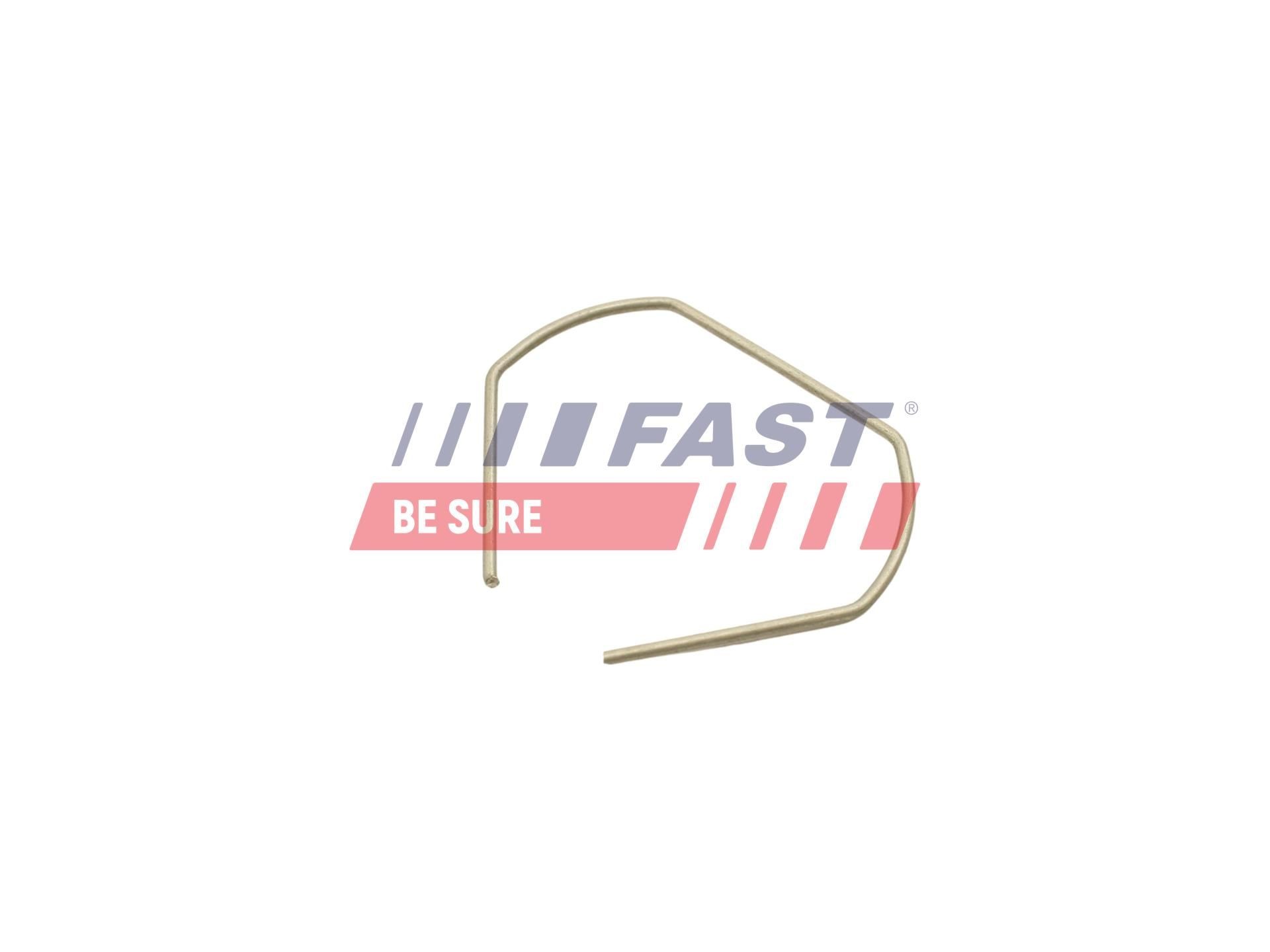 FAST Kronšteins, Bremžu šļauka FT96319 Bremžu šļūtenes Peugeot 223 FT96319 FAST