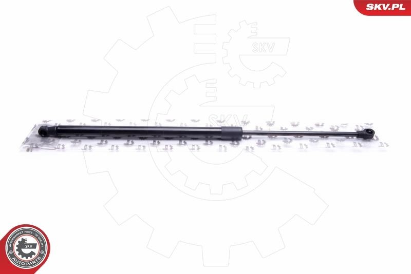 Bonnet strut ESEN SKV 52SKV085 ESEN SKV 52SKV085 Lexus GS 2023 Hood struts price