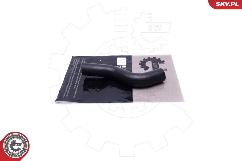 ESEN SKV Gaine de suralimentation 54SKV113 ESEN SKV 54SKV113 Durite de turbocompresseur Santa Fé IV Van / SUV (TM) prix