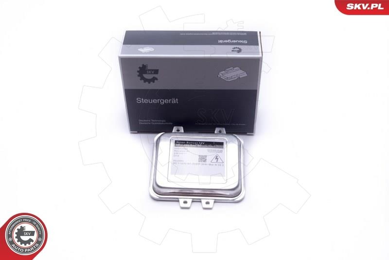 ESEN SKV Control Unit, lights 59SKV004 ESEN SKV 59SKV004 Nissan Almera Tino control unit, lights cost