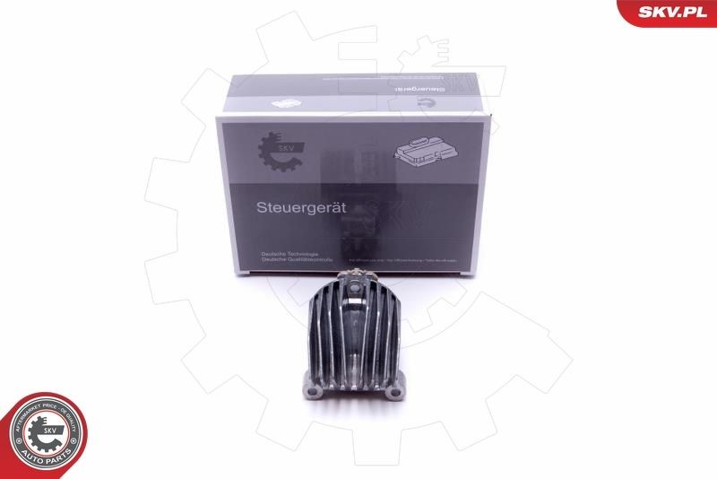 ESEN SKV Regeleenheid, verlichting 59SKV073 ESEN SKV 59SKV073 Regeleenheid, verlichting Hyundai i30 Coupe prijs