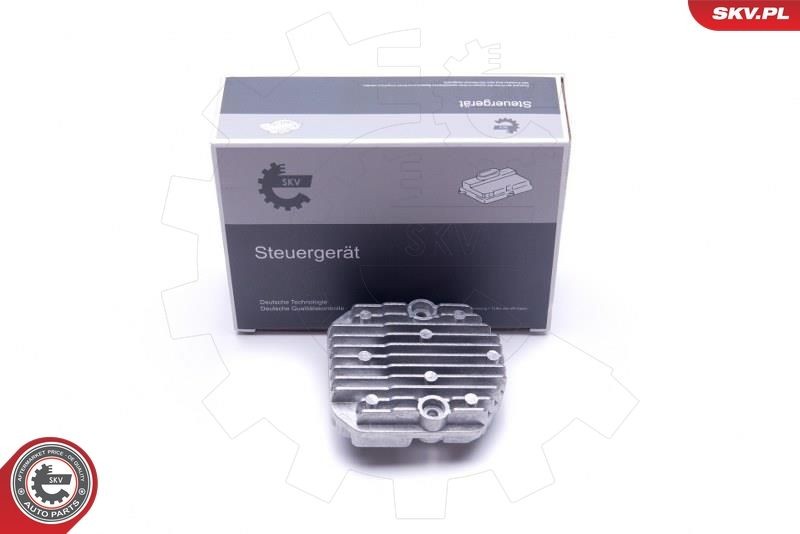 ESEN SKV Control Unit, lights 59SKV080 ESEN SKV 59SKV080 genuine BMW G30 light control module price