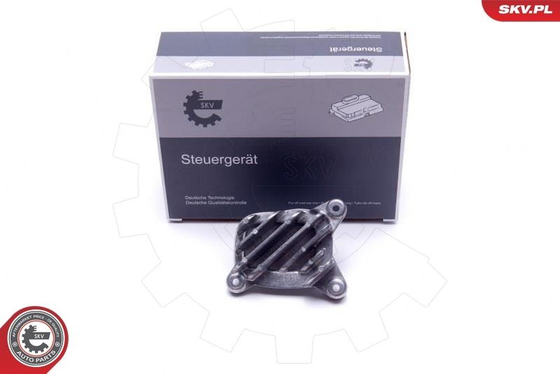 ESEN SKV Regeleenheid, verlichting 59SKV133 ESEN SKV 59SKV133 Regeleenheid, verlichting BMW F36 prijs