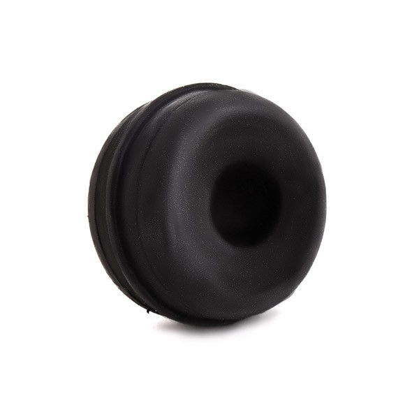 Aanslagrubber, vering FEBI BILSTEIN 36008 FEBI BILSTEIN 36008 Schokbreker hoes MERCEDES-BENZ SLK 2001