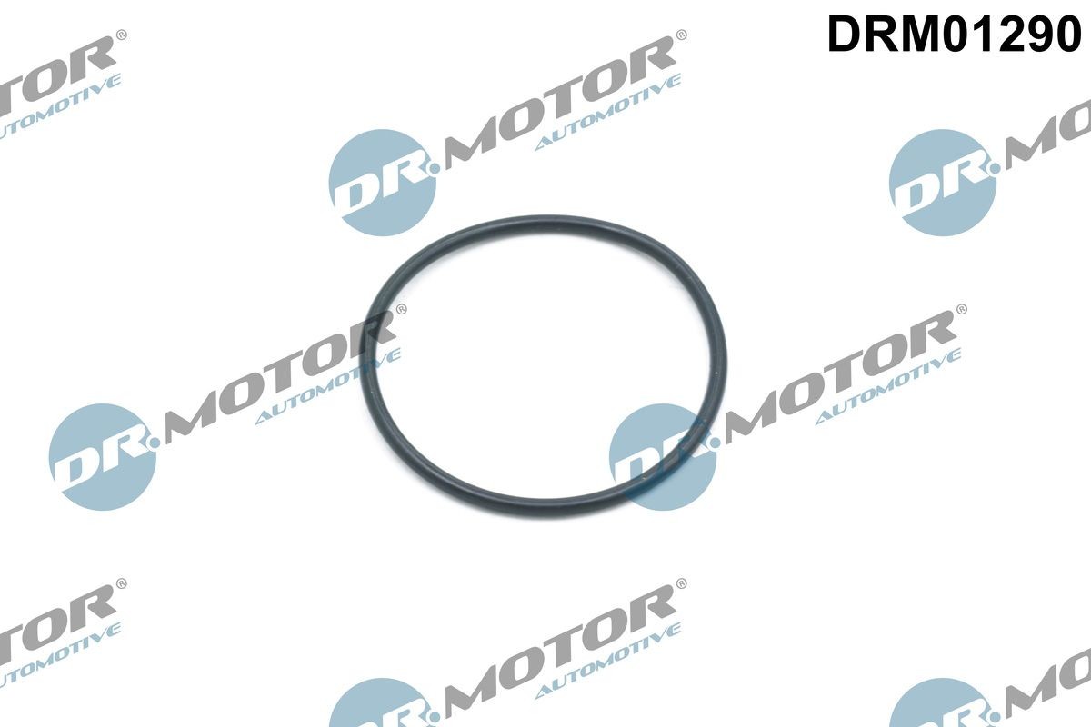DR.MOTOR AUTOMOTIVE Retentor, tensor da corrente de distribuição DRM01290 DR.MOTOR AUTOMOTIVE DRM01290 Tensor da corrente de distribuição Land Rover Freelander Cabrio baratos