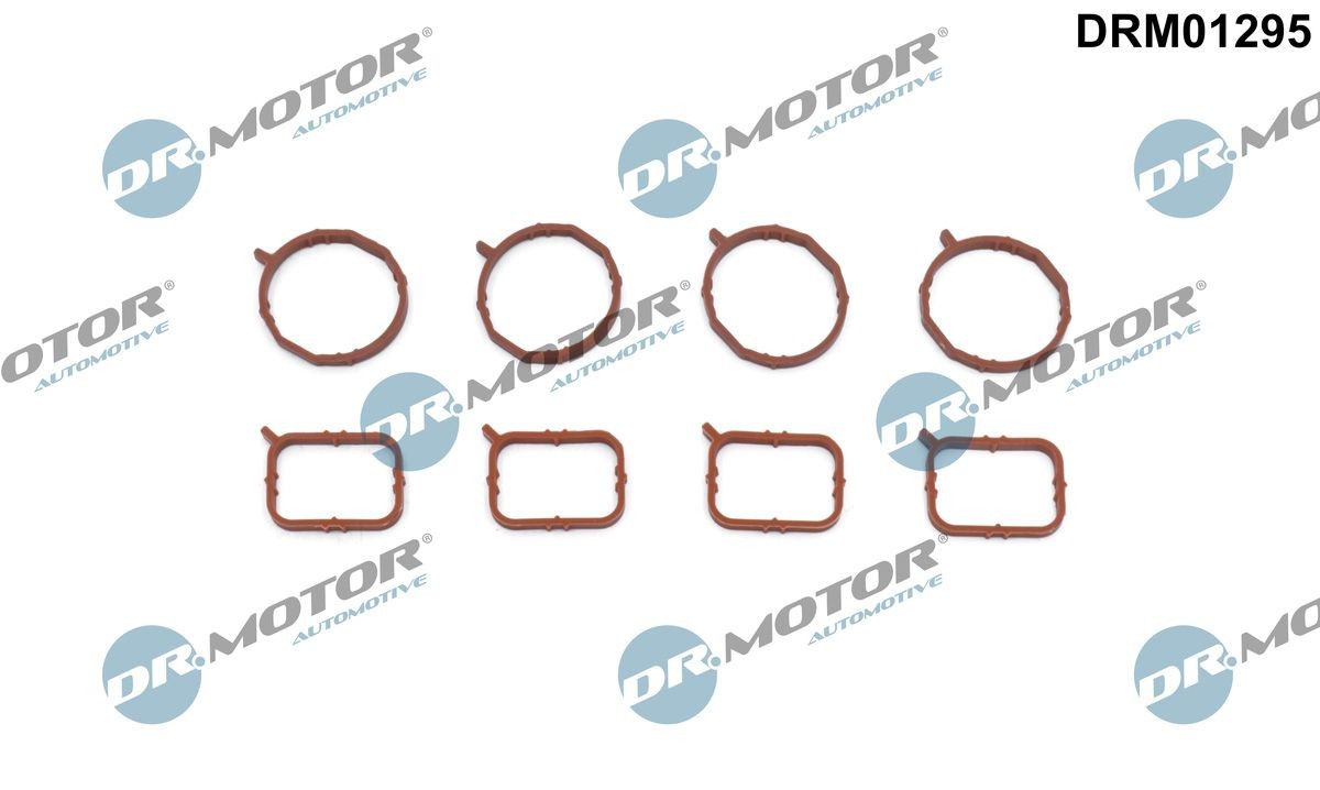 DR.MOTOR AUTOMOTIVE Blīvju komplekts, Ieplūdes kolektors DRM01295 Ieplūdes kolektora blīve DR.MOTOR AUTOMOTIVE T-ROC DRM01295 lēti
