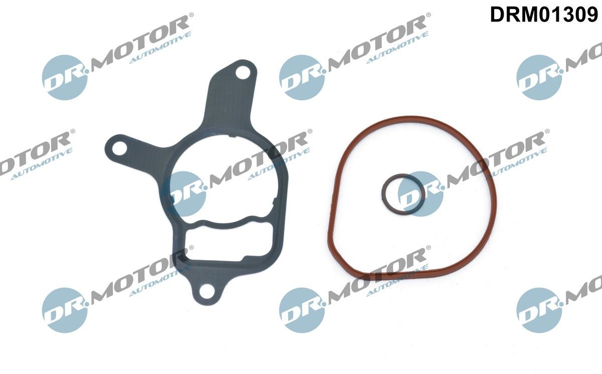 DR.MOTOR AUTOMOTIVE Σέτ τσιμούχες, αντλία υποπίεσης DRM01309 DR.MOTOR AUTOMOTIVE DRM01309 Σέτ τσιμούχες, αντλία υποπίεσης