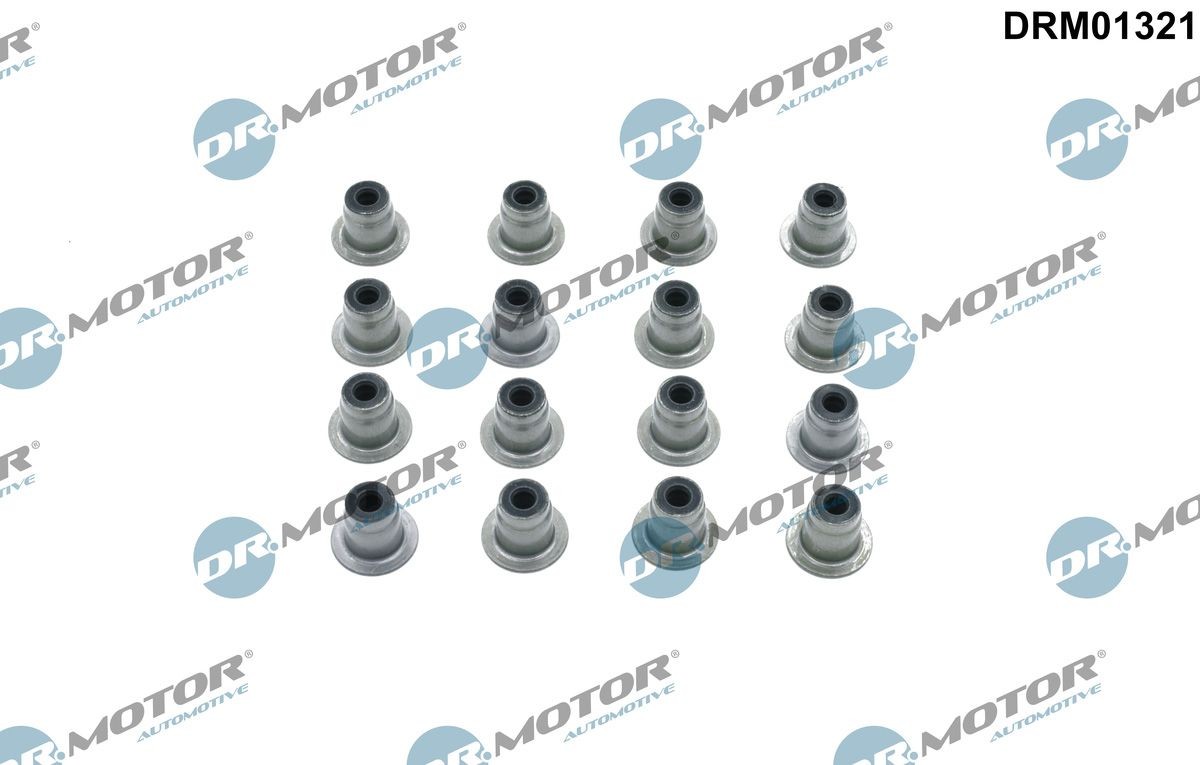 DR.MOTOR AUTOMOTIVE Pakningssett, ventilstamme DRM01321 Ventiltetning DR.MOTOR AUTOMOTIVE Q7 DRM01321 billige