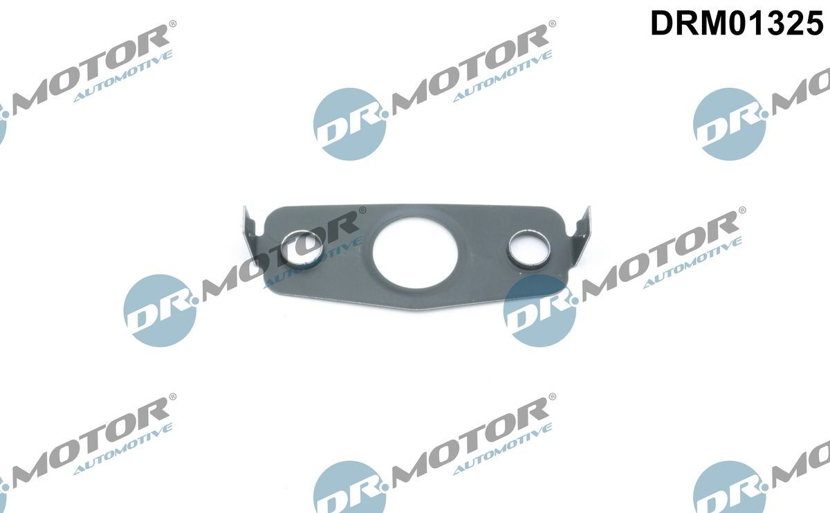 DR.MOTOR AUTOMOTIVE Anello tenuta, Scarico olio (Compressore) DRM01325 DRM01325 Guarnizione turbina CHEVROLET CRUZE DR.MOTOR AUTOMOTIVE costo