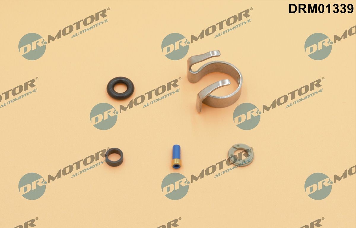 DR.MOTOR AUTOMOTIVE Tetningssett, innsprøyt.dyse DRM01339 DR.MOTOR AUTOMOTIVE DRM01339 Tetningsring innsprøytningsdyse Citroën C8 originale