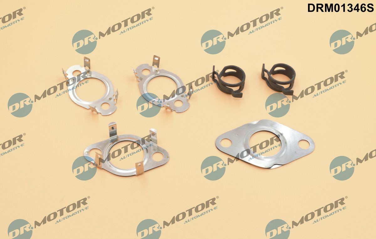 DR.MOTOR AUTOMOTIVE Jeu de joints d'étanchéité, système EGR DRM01346S Joint de vanne EGR DR.MOTOR AUTOMOTIVE LS DRM01346S pas cher