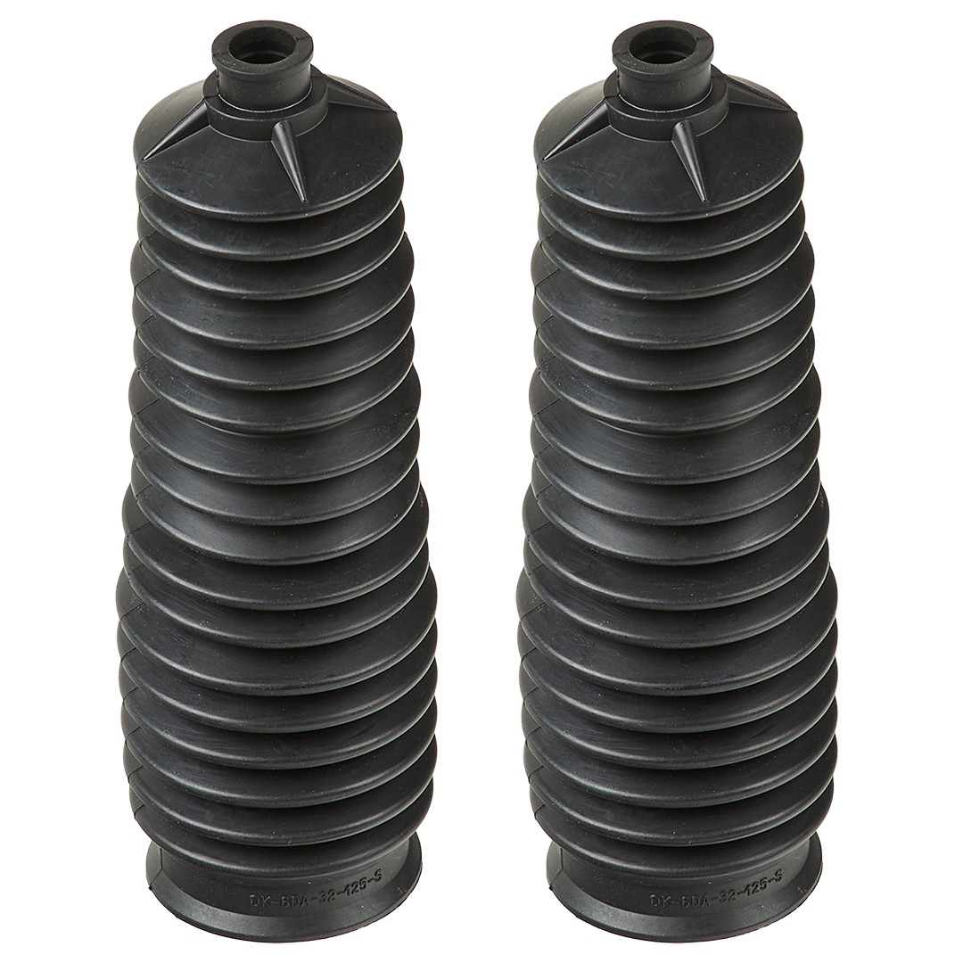 RIDEX Jogo de foles, direcção 195B0005 195B0005 Fole de direcção RIDEX RENAULT CLIO