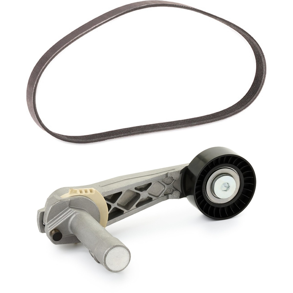 RIDEX PLUS Poly V-riem set 542R0109P RIDEX PLUS Poly v riemen kit PEUGEOT 542R0109P