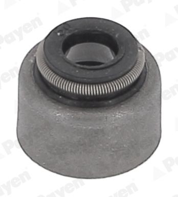 PAYEN Kit guarnizioni, Stelo valvola HR5150 HR5150 Paraolio valvole PAYEN SUBARU VANILLE Autobus costo