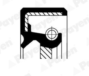 PAYEN Shaft Seal, manual transmission NJ484 FIAT SEDICI PAYEN gearbox gaskets NJ484