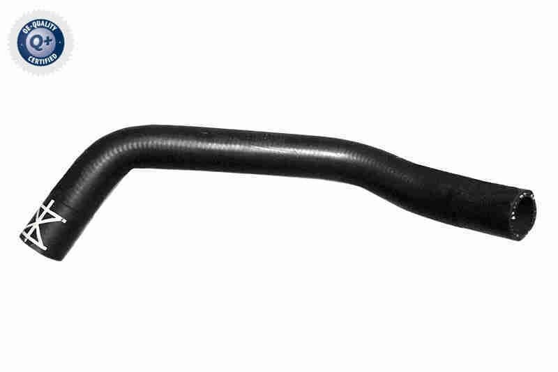 VAICO Radiatora cauruļvads V10-7564 Radiatora cauruļvads VAICO Honda FR-V V10-7564