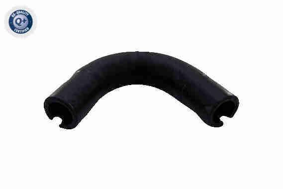 VAICO Slange, veivhuslufting V24-1292 V24-1292 Ventil veivhusventilasjon FIAT TIPO VAICO
