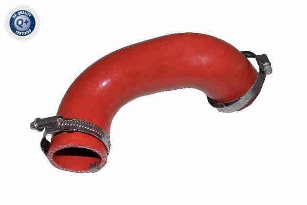 VAICO Kompressoriõhuvoolik V25-2344 V25-2344 Laadimisõhu voolik FORD TOURNEO CUSTOM VAICO