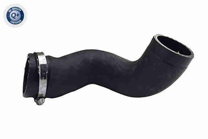 VAICO Laadluchtslang V95-0624 Laadluchtslang VAICO 240 V95-0624 goedkoop