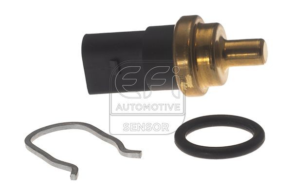 EFI AUTOMOTIVE Brandstoftemperatuursensor 295203 EFI AUTOMOTIVE 295203 Sensor brandstoftemperatuur VW T Roc A11 prijs