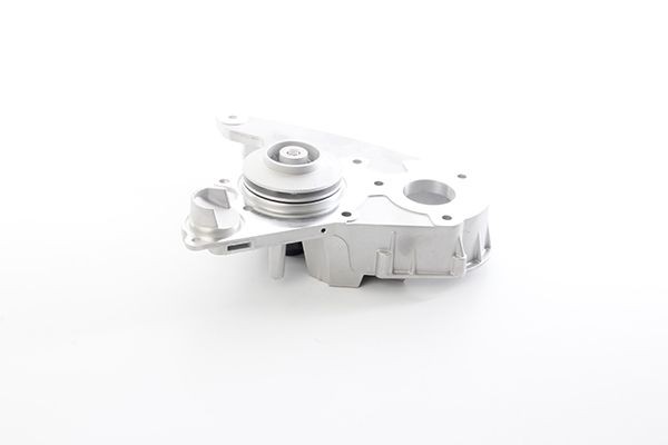 BSG Vannpumpe BSG 25-500-010 BSG 25-500-010 Vannpumpe FIAT BRAVO BSG