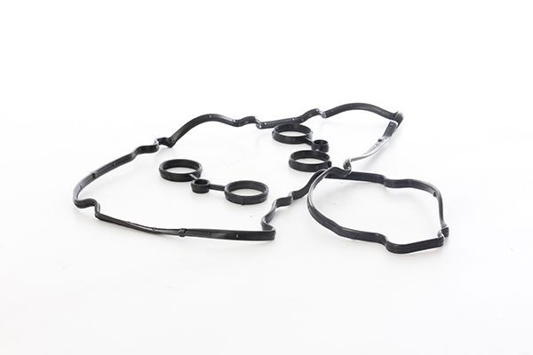 BSG Tihend, klapikaan BSG 70-116-005 BSG Klapikambrikaane tihend BSG 70-116-005 kasutuskogemus