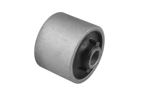 Fäste, differential TEDGUM TED11935 TEDGUM TED11935: Differentialväxel Subaru JUSTY 2014