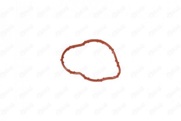 IBRAS Guarnizione, Condotto d. refrigerante 11034 IBRAS 11034 Tubi radiatore Q45 (F50) originale prezzo