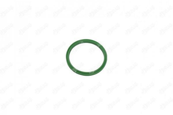 IBRAS Bague d'étanchéité, gaine de suralimentation 11035 Bague d'étanchéité, gaine de suralimentation IBRAS SUBURBAN 11035 pas cher