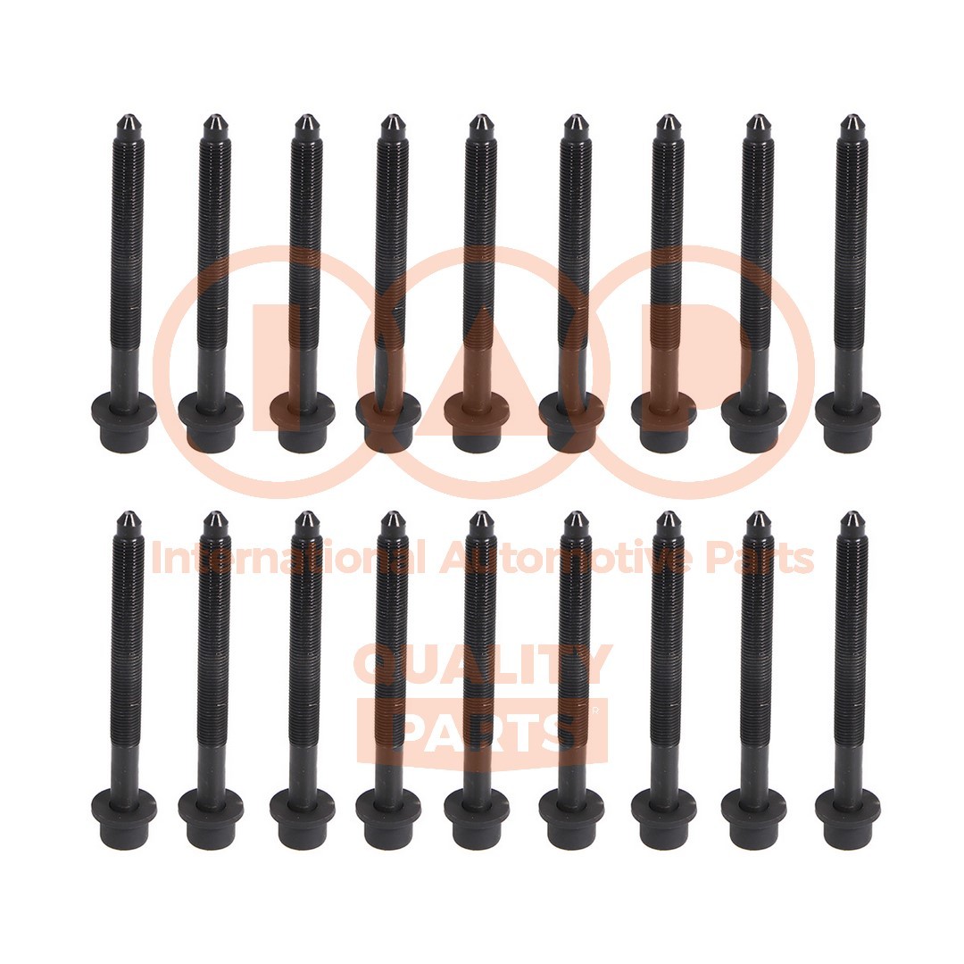 IAP QUALITY PARTS Kit bulloni testata 119-13149 119-13149 costo Bulloni testata NISSAN NAVARA IAP QUALITY PARTS