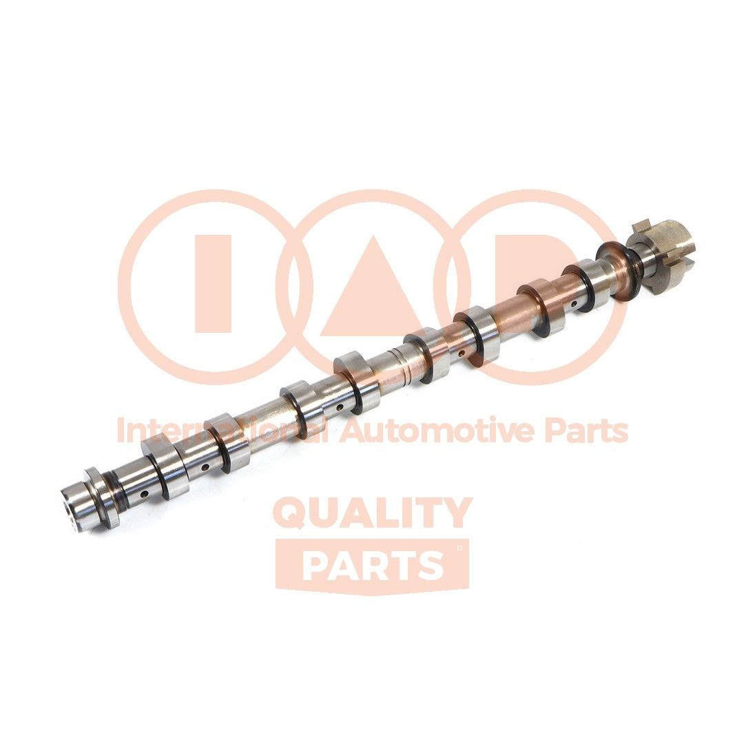 IAP QUALITY PARTS Vačkový hriadeľ 124-13116 124-13116 Vačkový hriadeľ OPEL VIVARO IAP QUALITY PARTS