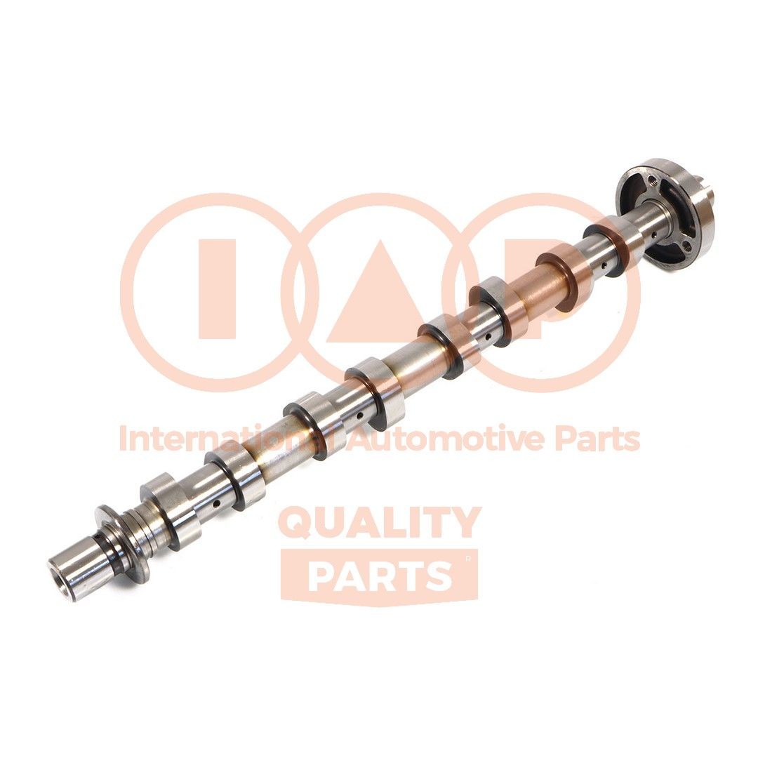 IAP QUALITY PARTS Vačkový hriadeľ 124-13117 Sada vačkového hriadeľa IAP QUALITY PARTS Opel VIVARO 124-13117