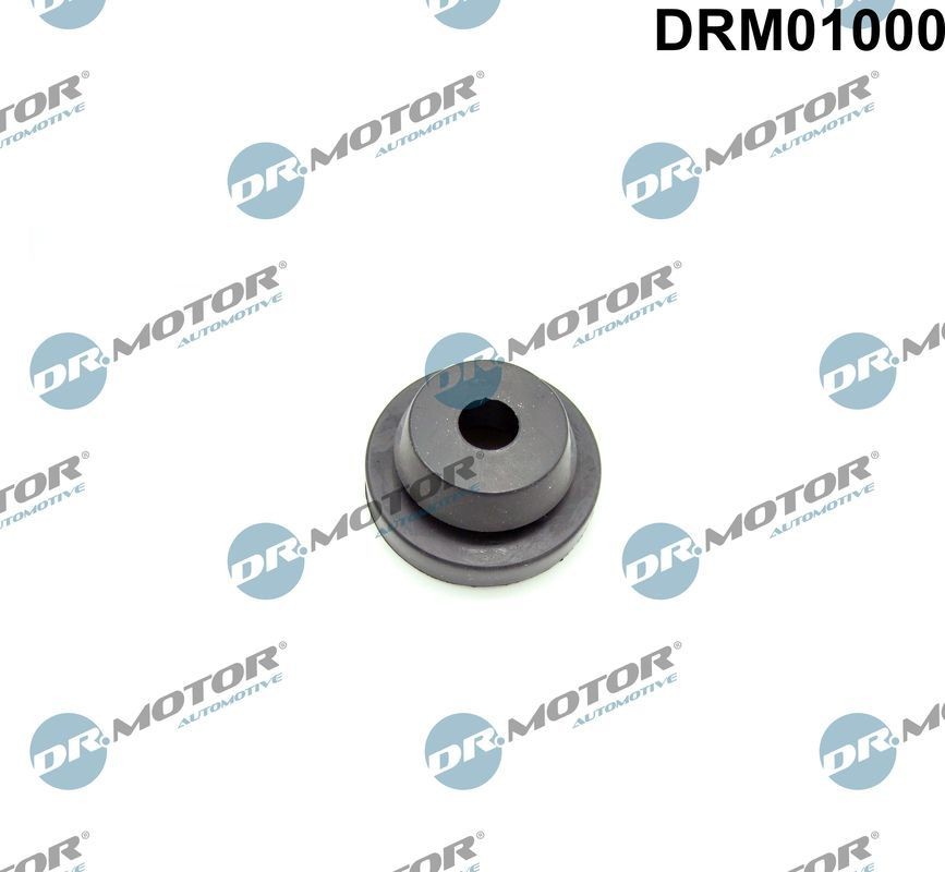 DR.MOTOR AUTOMOTIVE Spilvens, Gaisa filtrs DRM01000 DR.MOTOR AUTOMOTIVE DRM01000 orģinālās Kronšteins, gaisa filtra korpuss RENAULT 30 cena
