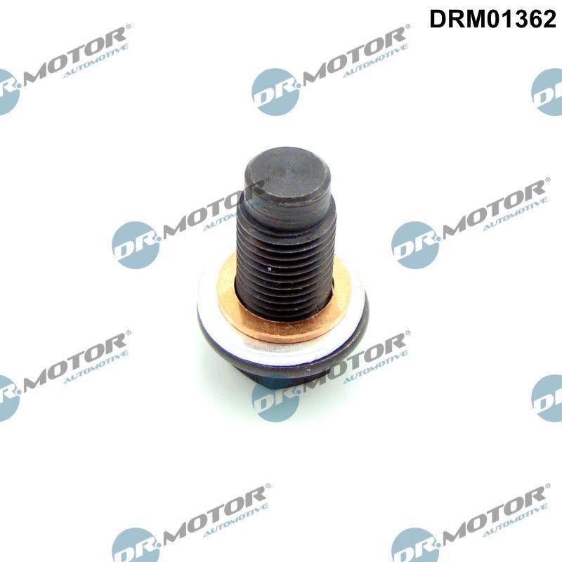 DR.MOTOR AUTOMOTIVE Afsluitschroef, oliepan DRM01362 Renault CLIO Olie aftapplug DR.MOTOR AUTOMOTIVE DRM01362