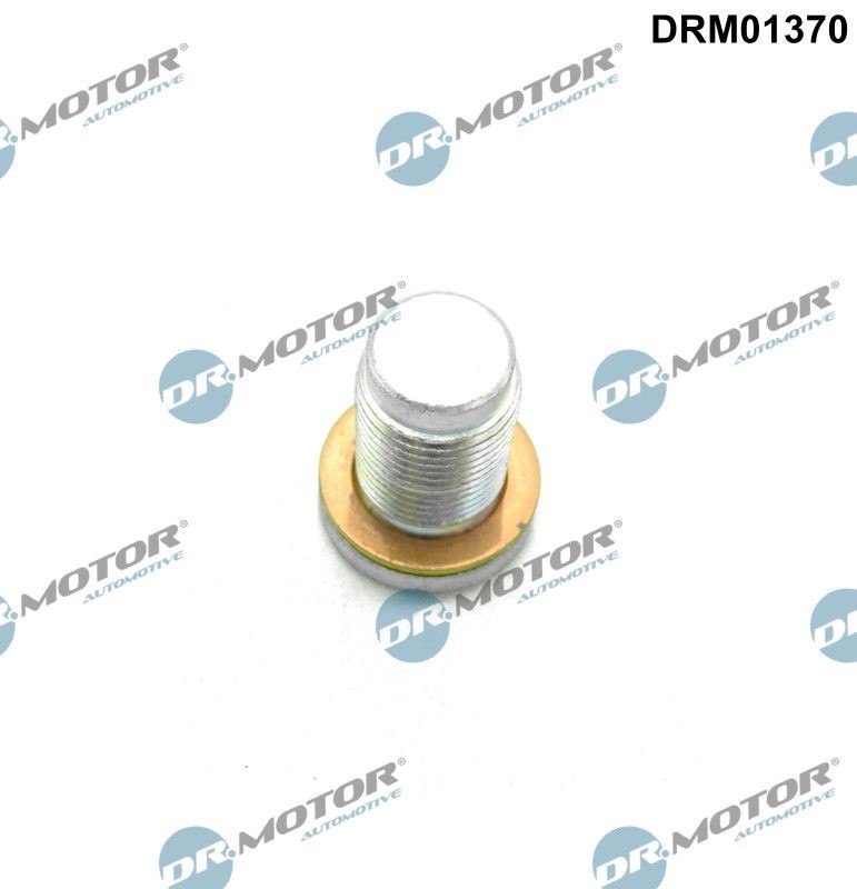 DR.MOTOR AUTOMOTIVE Parafuso de fecho, cárter do óleo DRM01370 DR.MOTOR AUTOMOTIVE DRM01370 Bujão do carter Dedra Carrinha (835) preço