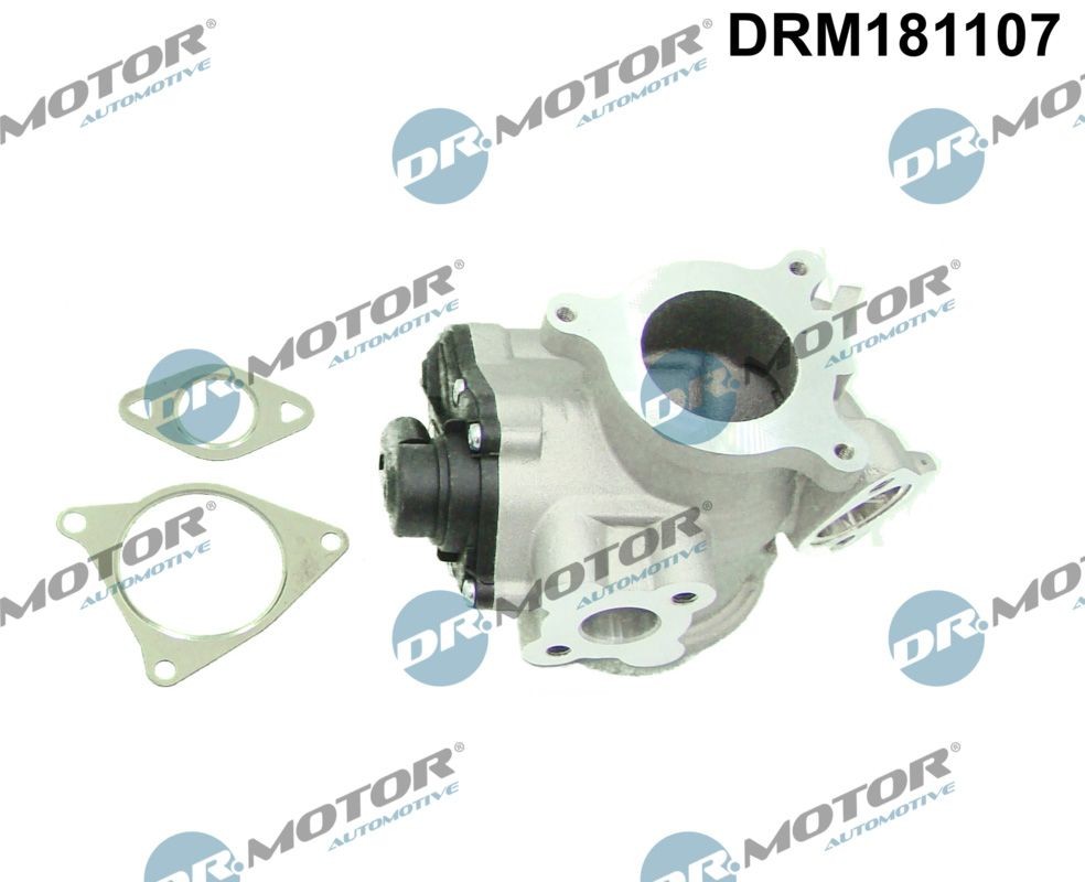 DR.MOTOR AUTOMOTIVE Valvola EGR DRM181107 DRM181107 costo Valvola EGR RENAULT VEL SATIS DR.MOTOR AUTOMOTIVE
