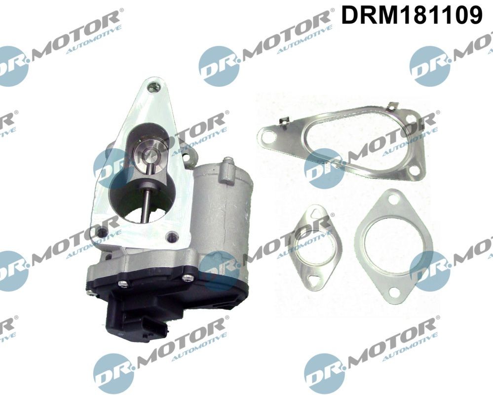 DR.MOTOR AUTOMOTIVE EGR-ventil DRM181109 RENAULT egr DR.MOTOR AUTOMOTIVE DRM181109