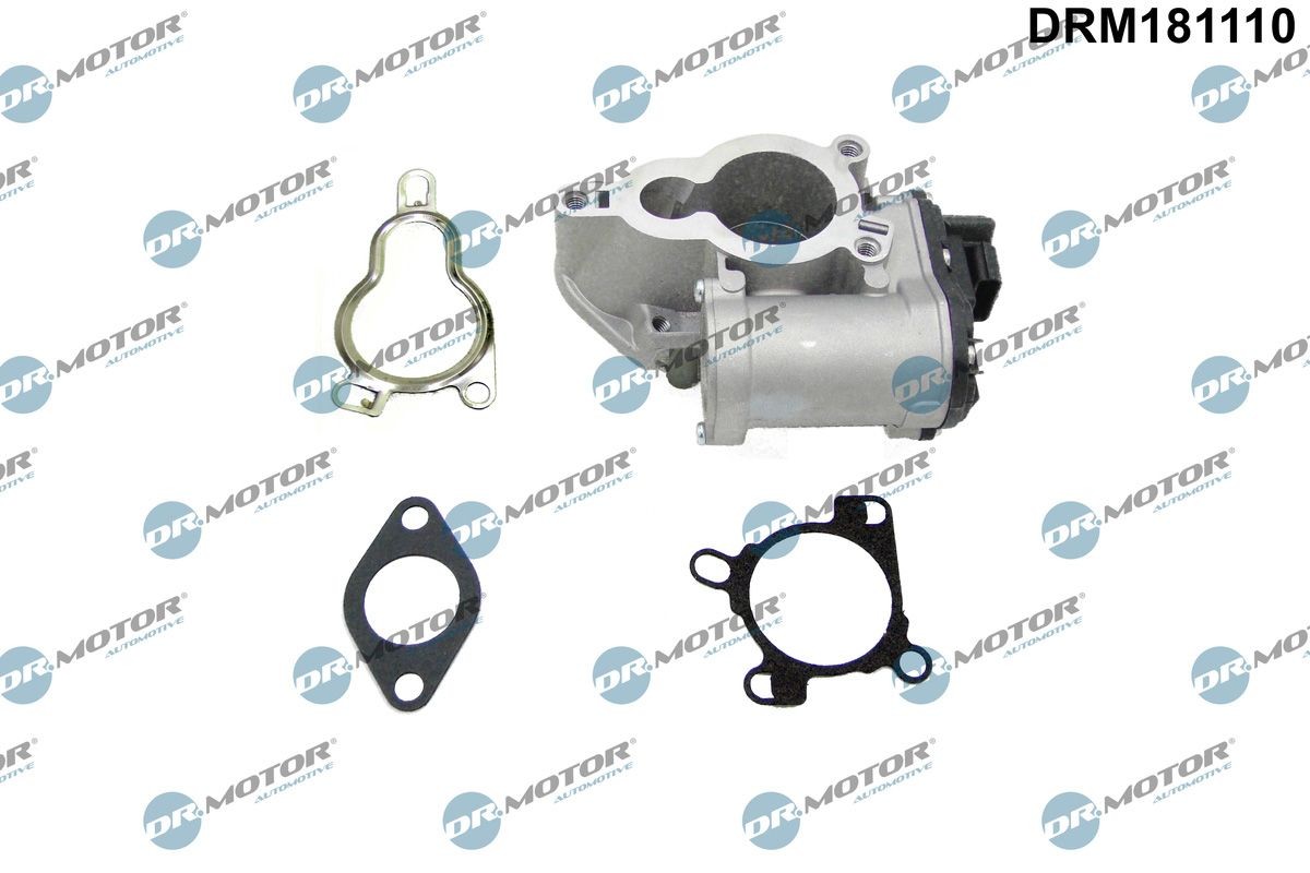 EGR-klapp DR.MOTOR AUTOMOTIVE DRM181110 DR.MOTOR AUTOMOTIVE DRM181110: EGR klapp Renault ESPACE 2013