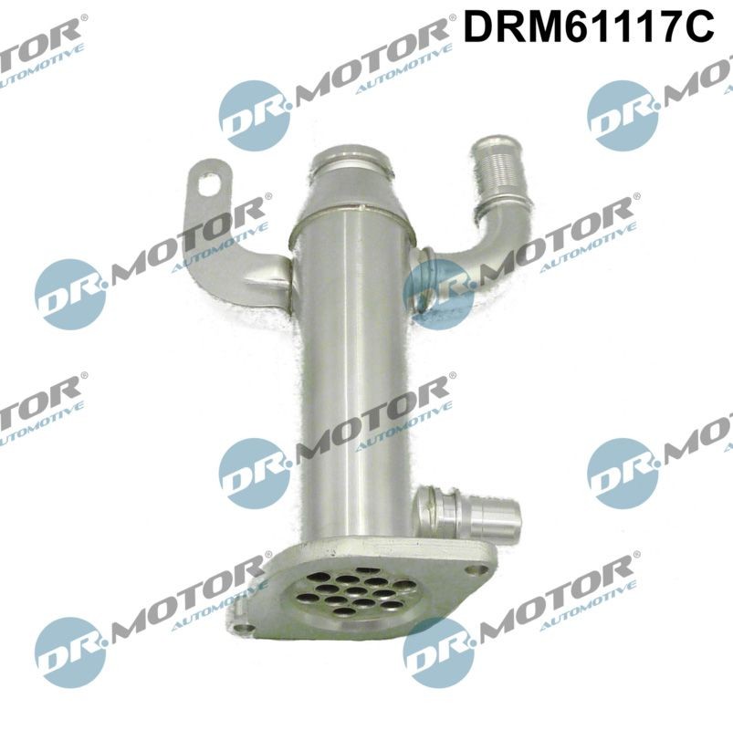DR.MOTOR AUTOMOTIVE AGR Kühler DRM61117C DRM61117C DR.MOTOR AUTOMOTIVE IVECO MASSIF Abgaskühler Kosten