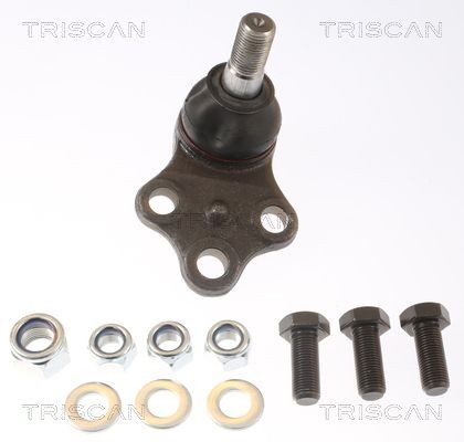 TRISCAN Fuseekogel 8500 14523 TRISCAN 8500 14523 Kogel, fusee Nissan Pathfinder R50 goedkoop