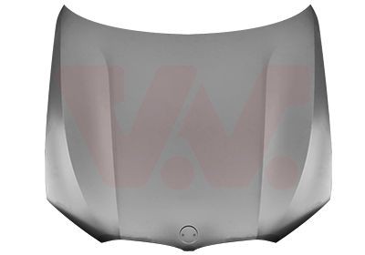 Motorpanser VAN WEZEL 0593660 VAN WEZEL 0593660: Motorpanser BMW 6-serie 2003