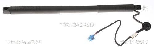 TRISCAN Gasveer achterklep 8710 23304 Kofferbakveer TRISCAN CITAN 8710 23304 goedkoop