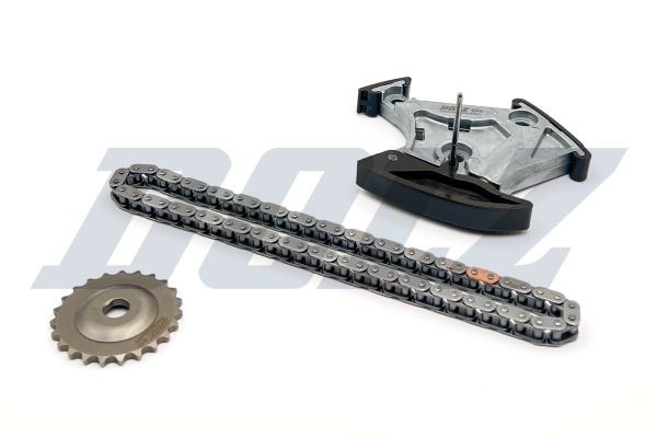 DOLZ Keti komplekt, õlipumbavedu SKCA043 SKCA043 Veokett SEAT ARONA DOLZ