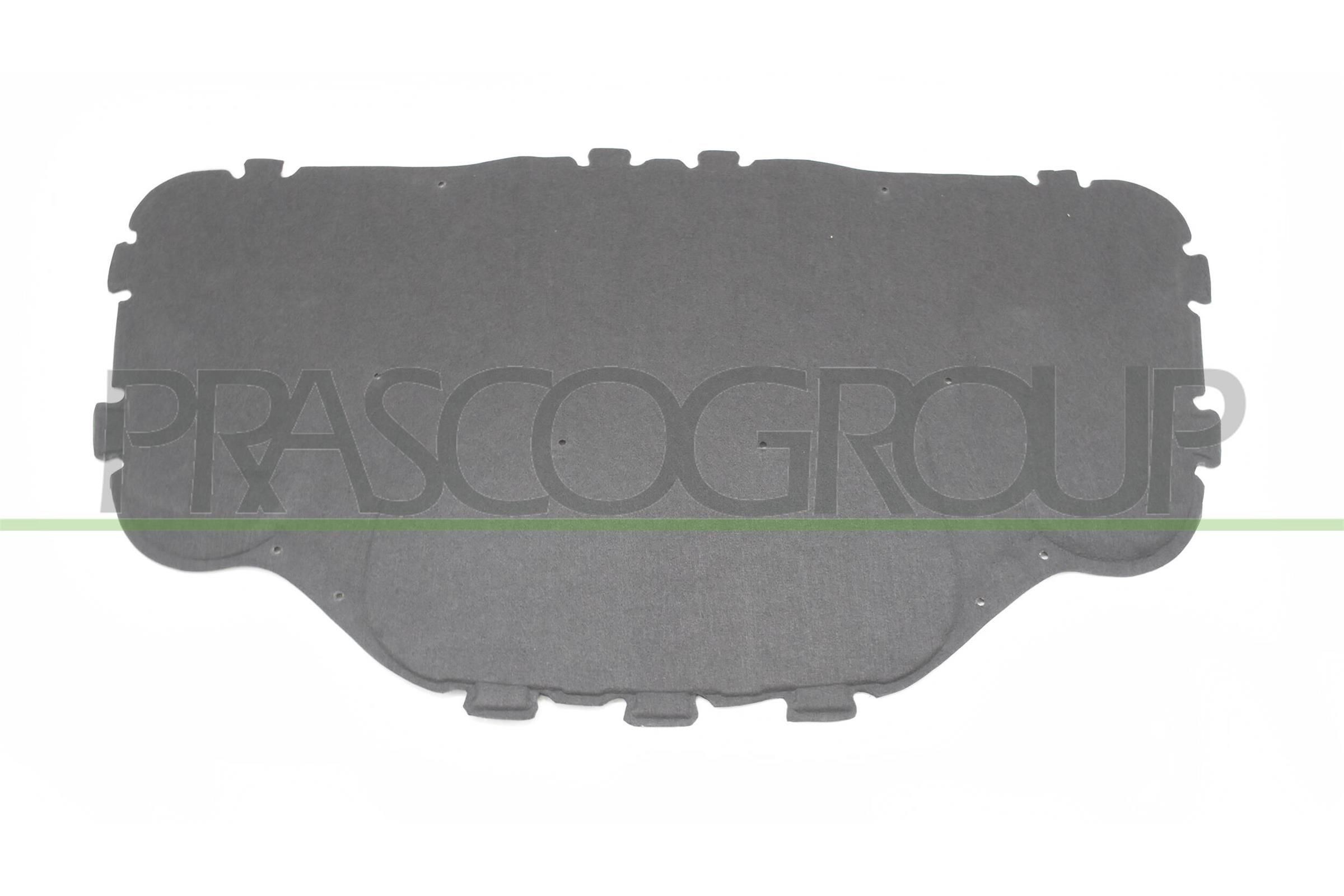 PRASCO Insonorizzazione vano motore BM0461945 PRASCO BM0461945 Insonorizzazione vano motore BMW E61 prezzo