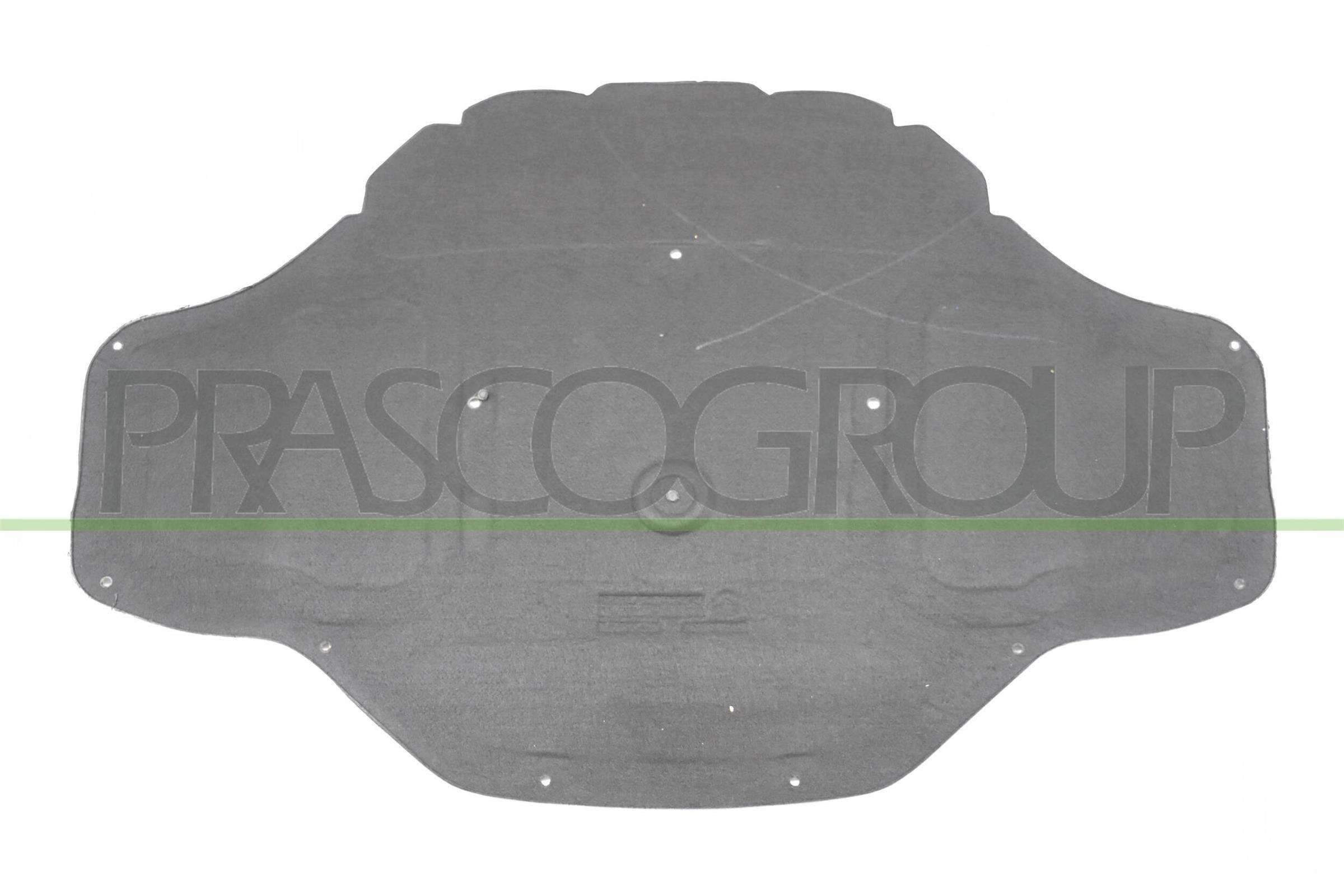 PRASCO Motorraumdämmung BM1041945 BM1041945 PRASCO Unterfahrschutz BMW F39 Kosten