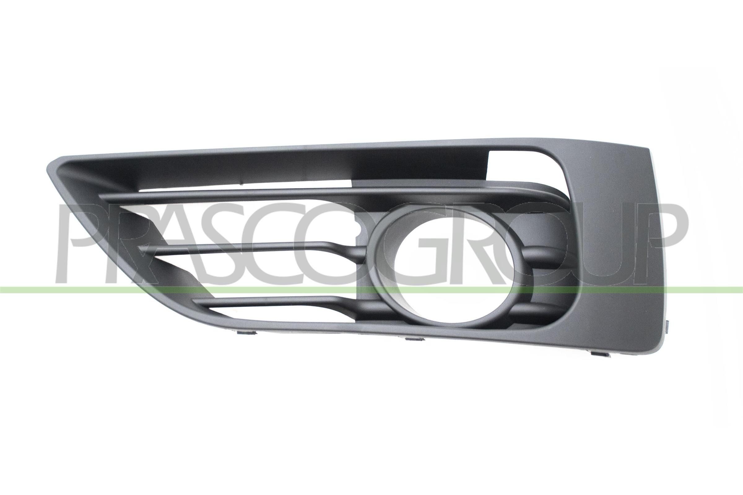PRASCO Bumper grill BM2002114 BMW X6 PRASCO grille BM2002114