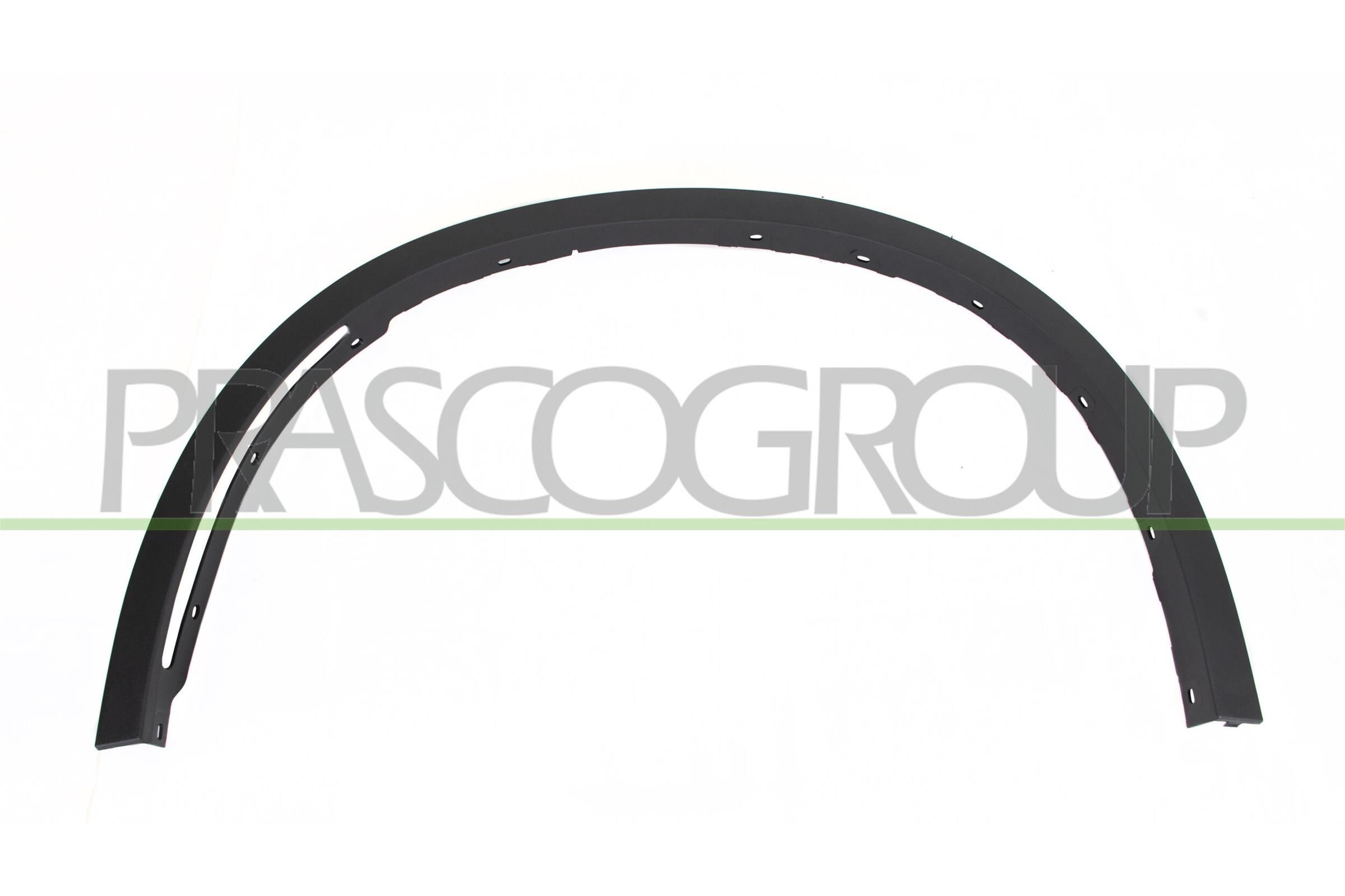 PRASCO Modanatura decorativa / protettiva, Parafango BM8261582 BM8261582 Allargamenti parafanghi PRASCO BMW X1 costo