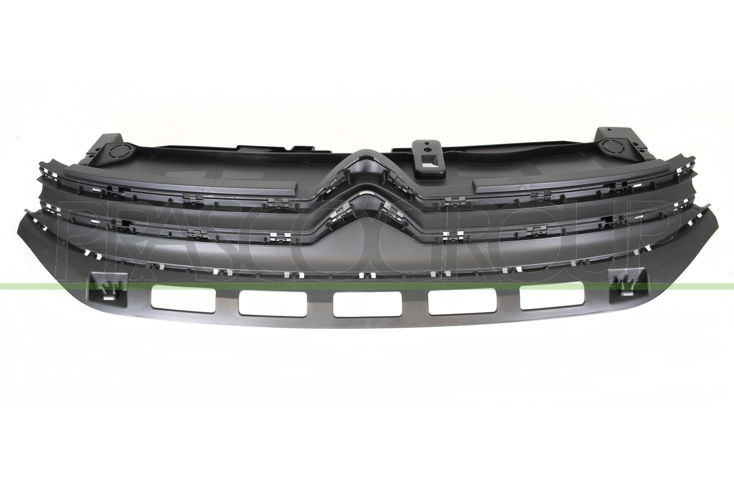 PRASCO Radiator grill CI3282001 CI3282001 Radiator grill PRASCO CITROЁN GS