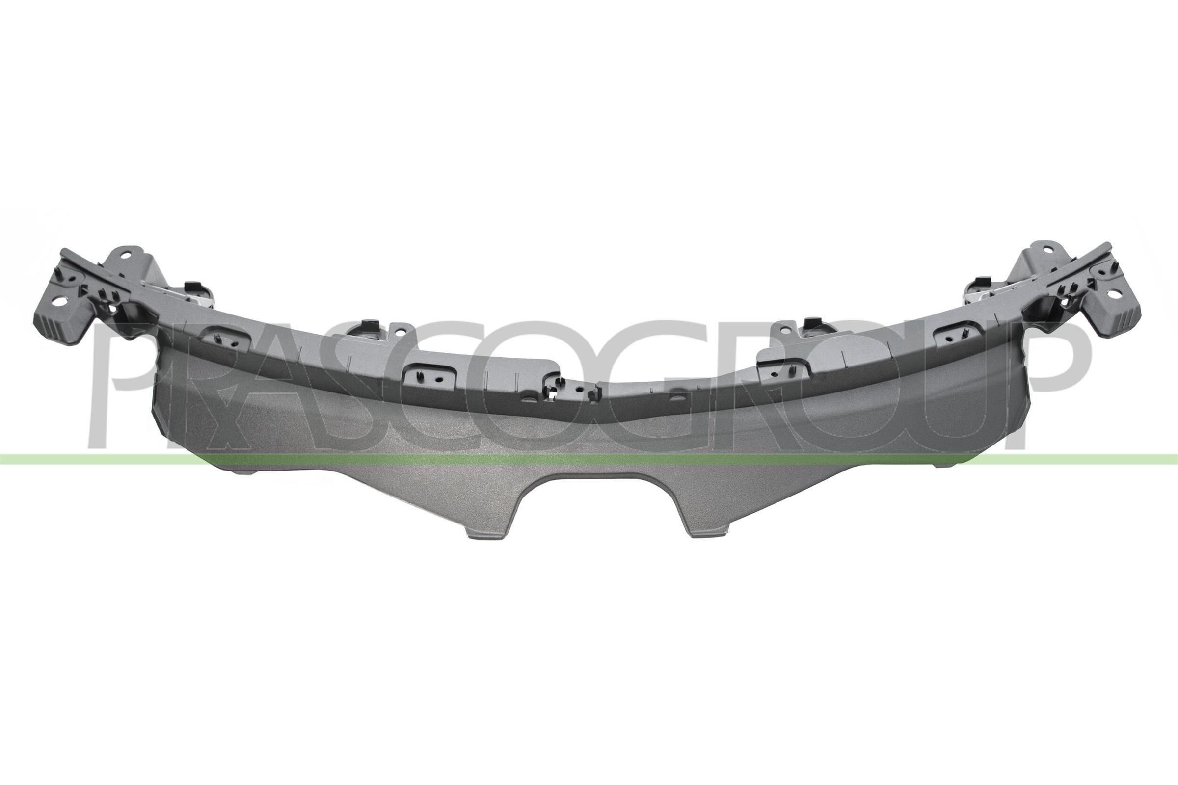 Holder, kølergitter PRASCO LS7202102 PRASCO LS7202102: Frontgrill Lexus IS 2000